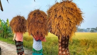 সুনামগঞ্জের হাওরে ব জ্র পা তে যুবকের মৃ*ত্যু